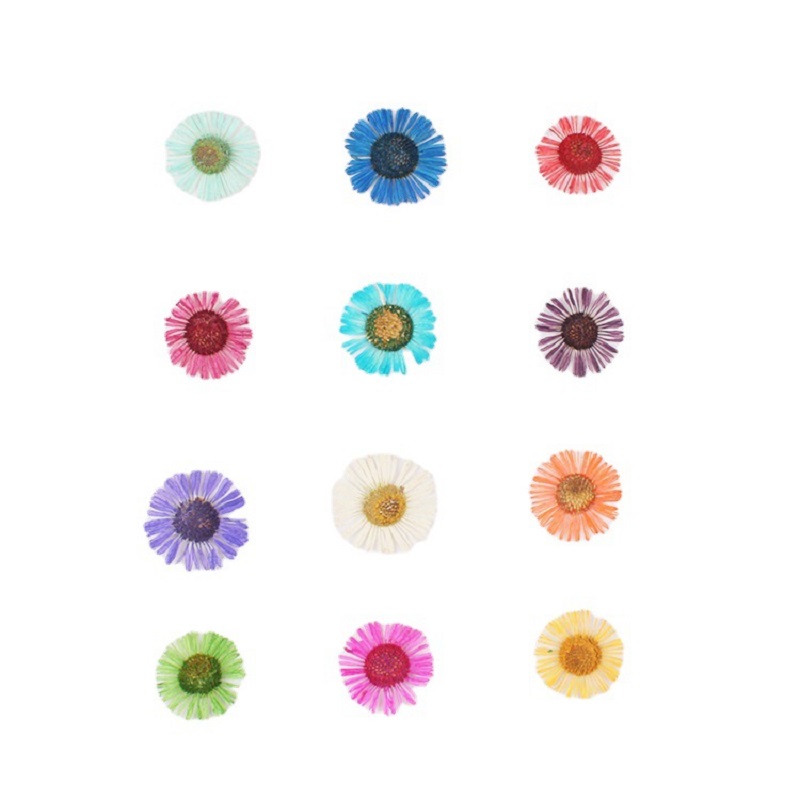 1セット押し花エリゲロンアクリスLハーバリウム、レジンエポキ - Dried Flower Bookmark のレビューと価格