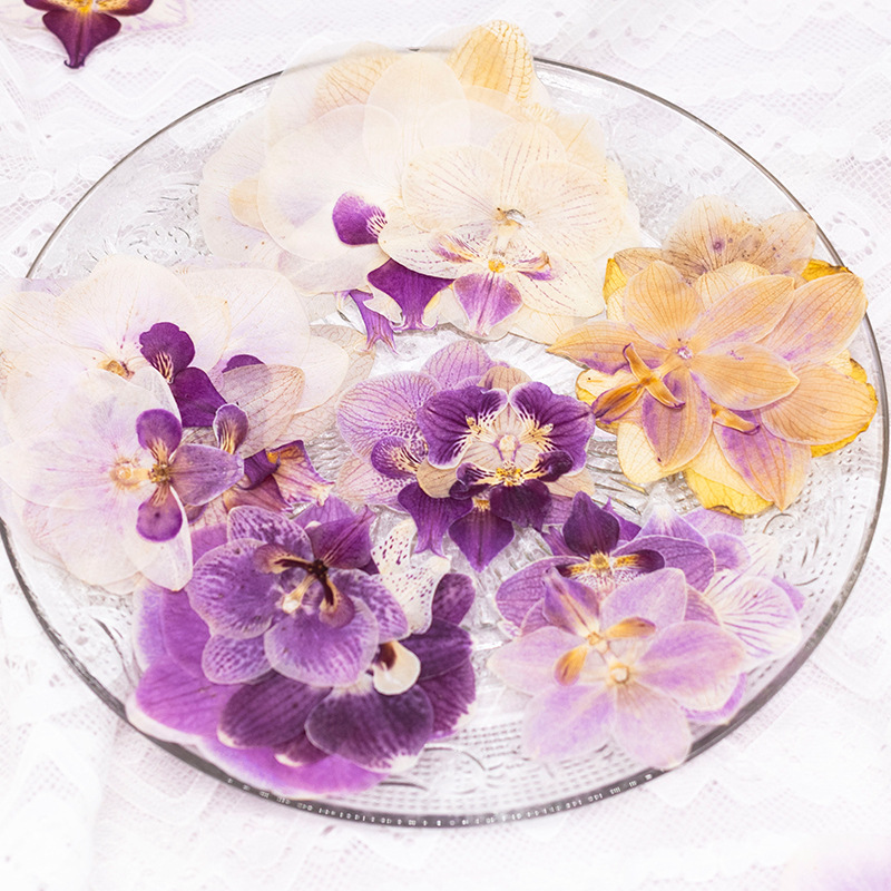 4個入り押し花胡蝶蘭の花頭と葉の植物標本、レジンDIYブック - Dried Flower Bookmark のレビューと価格